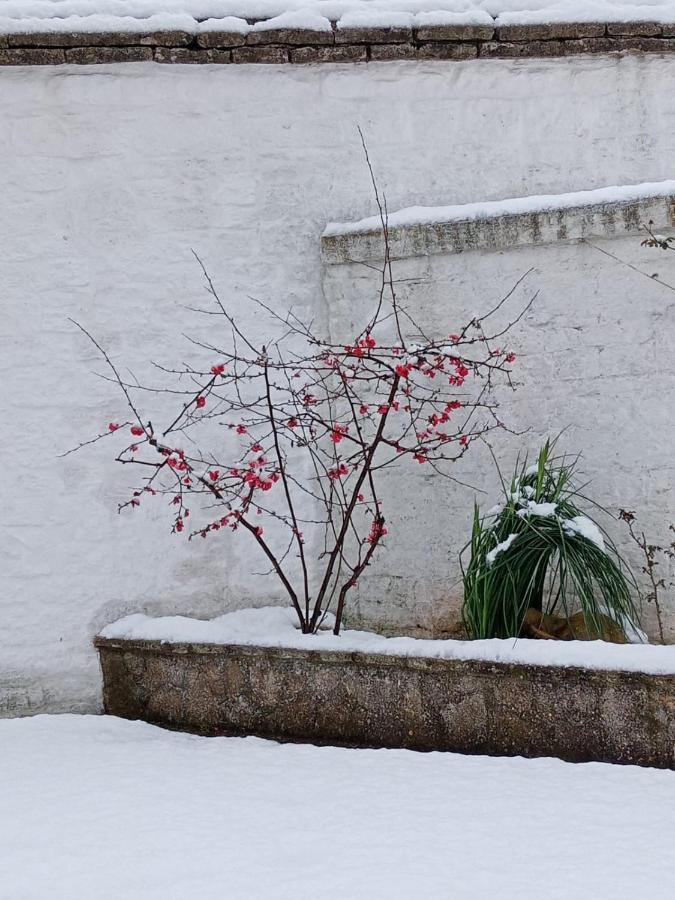 Trullo Amicizia Villa Alberobello Eksteriør bilde